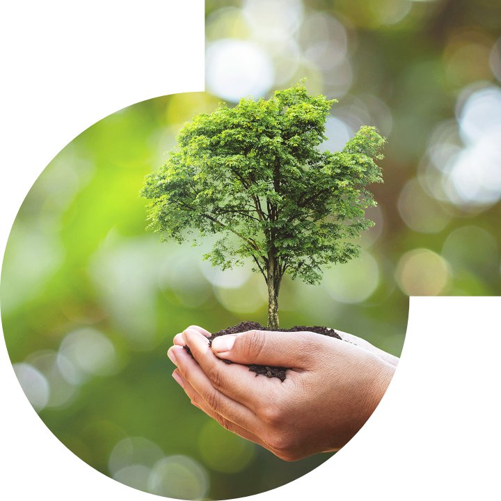 关怀人类、文化、环境与社会